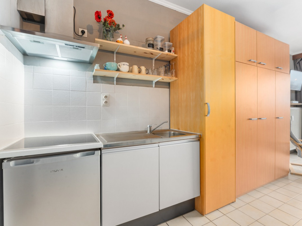 Franslaan - 23 0304 - Zeearend - 8620