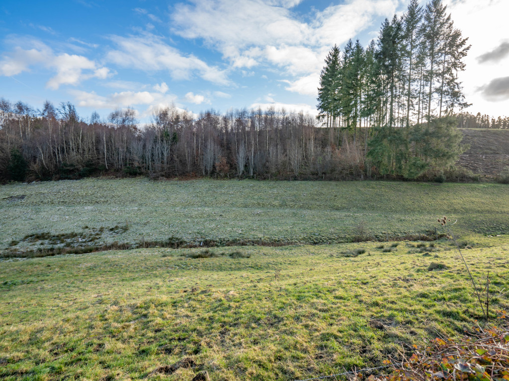 Buisson - LOT 4 - division - 6980