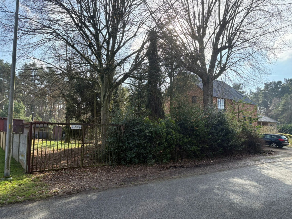 Molenwijk - 51 - - 3945