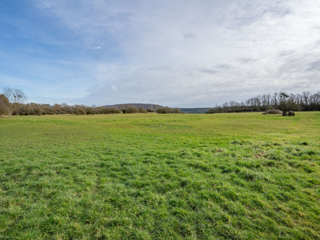 Ave et auffe - 40 - - 5580
