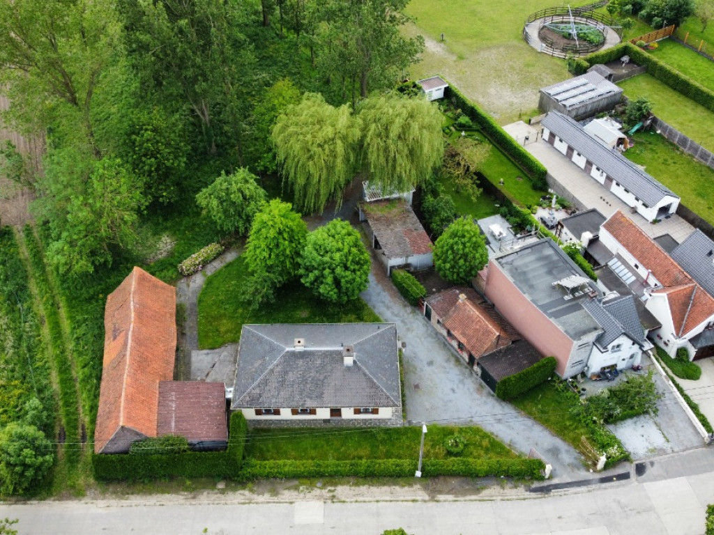Beveren Dries - 88 - lot 4 - 8791