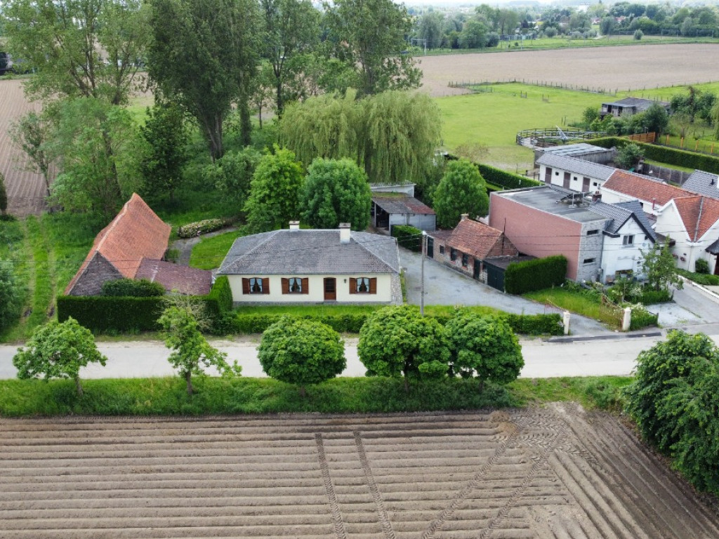 Beveren Dries - 88 - lot 4 - 8791