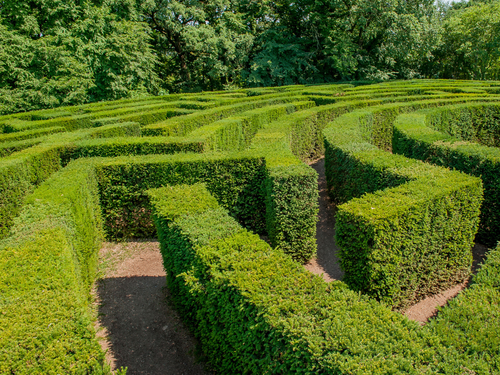 Photo du Labyrinthe à Durbuy.