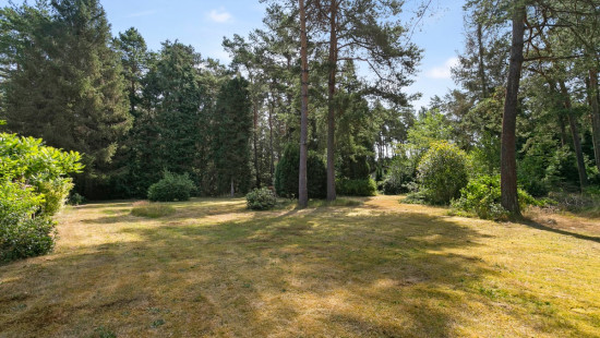 Hertbreemstraat - 18 - - 3201