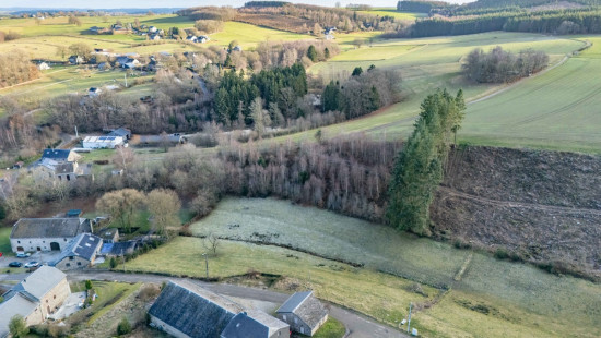 Buisson - LOT 4 - division - 6980