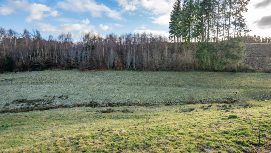 Buisson - LOT 3 - division - 6980