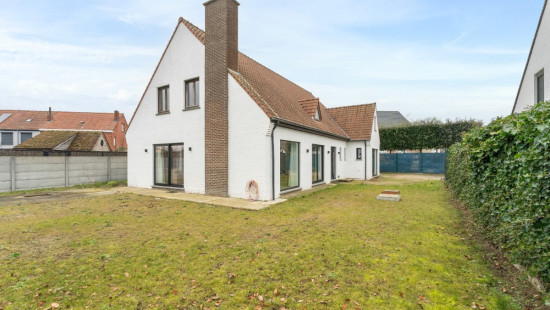Hippodroomstraat - 163 - - 8790