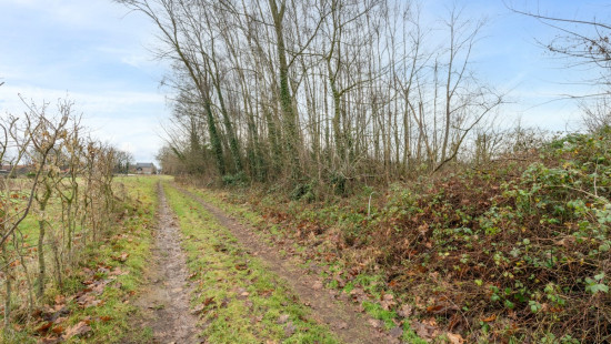 Sint-Amandsesteenweg - 377 - F - Lot 5 - 2880