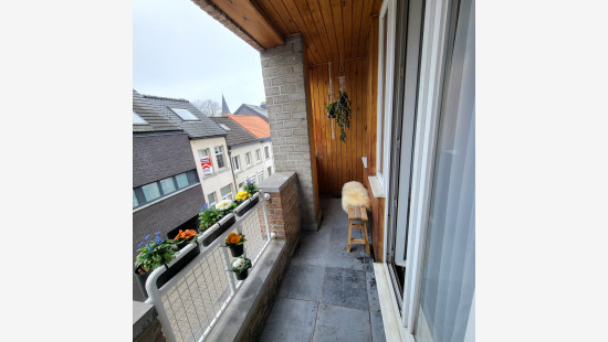Zelestraat - 10 - - 2800