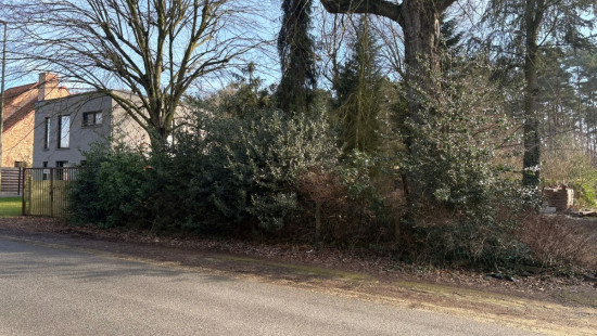 Molenwijk - 51 - - 3945