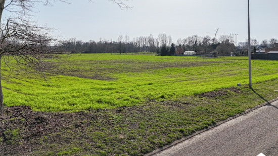 Mangelbeekstraat - 22 - - 3560