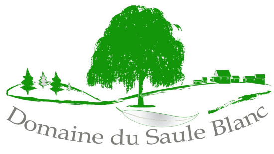 Rue de la Sarthe - 4 - - 4217