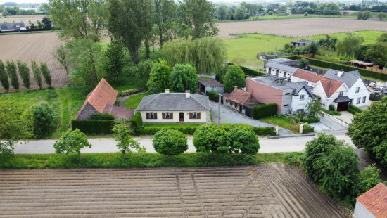 Beveren Dries - 88 - lot 4 - 8791