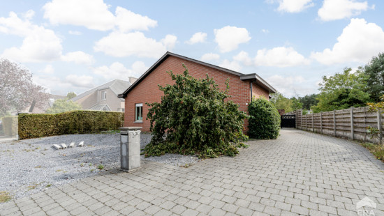Witte Hoeve - 50 - - 2431