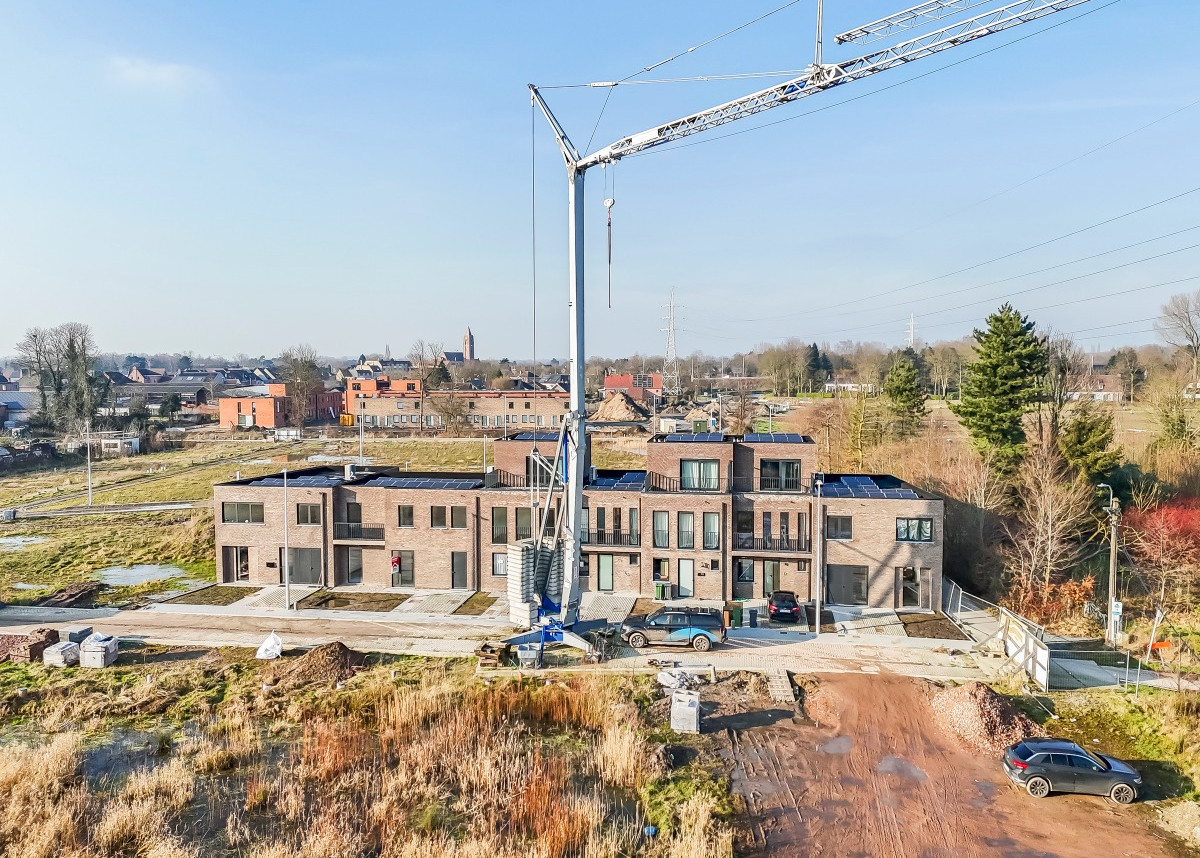Vijgenstraat, 9160 Lokeren - 02.jpg